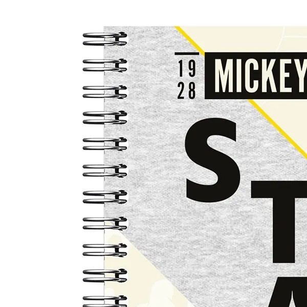 CUADERNO PROF. MICKEYDISNEY DIPAK RAYA 100H. GLAD C.24